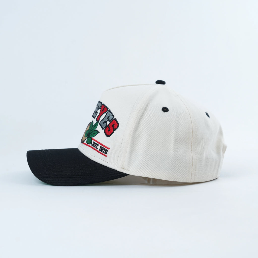 TBDHITL Buckeyes Snapback