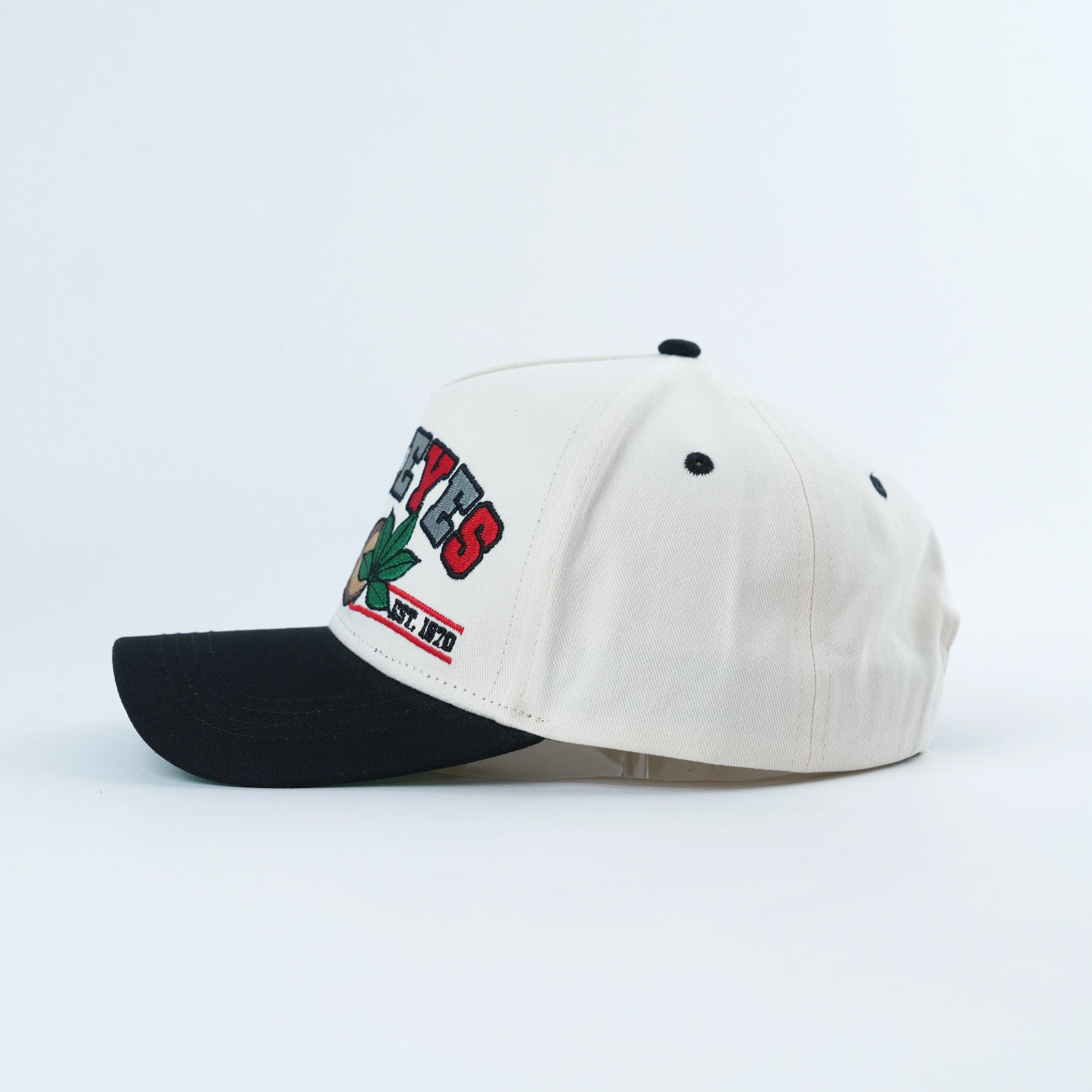 TBDHITL Buckeyes Snapback