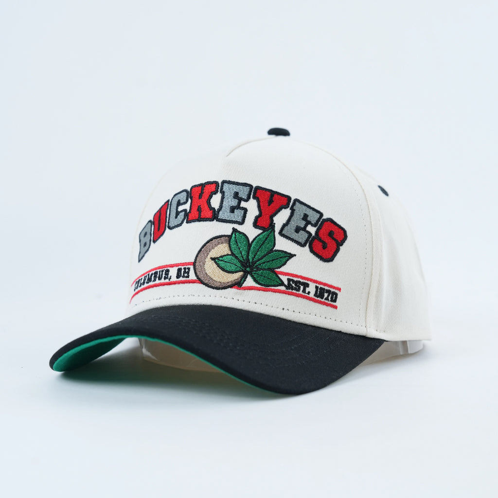 TBDHITL Buckeyes Snapback