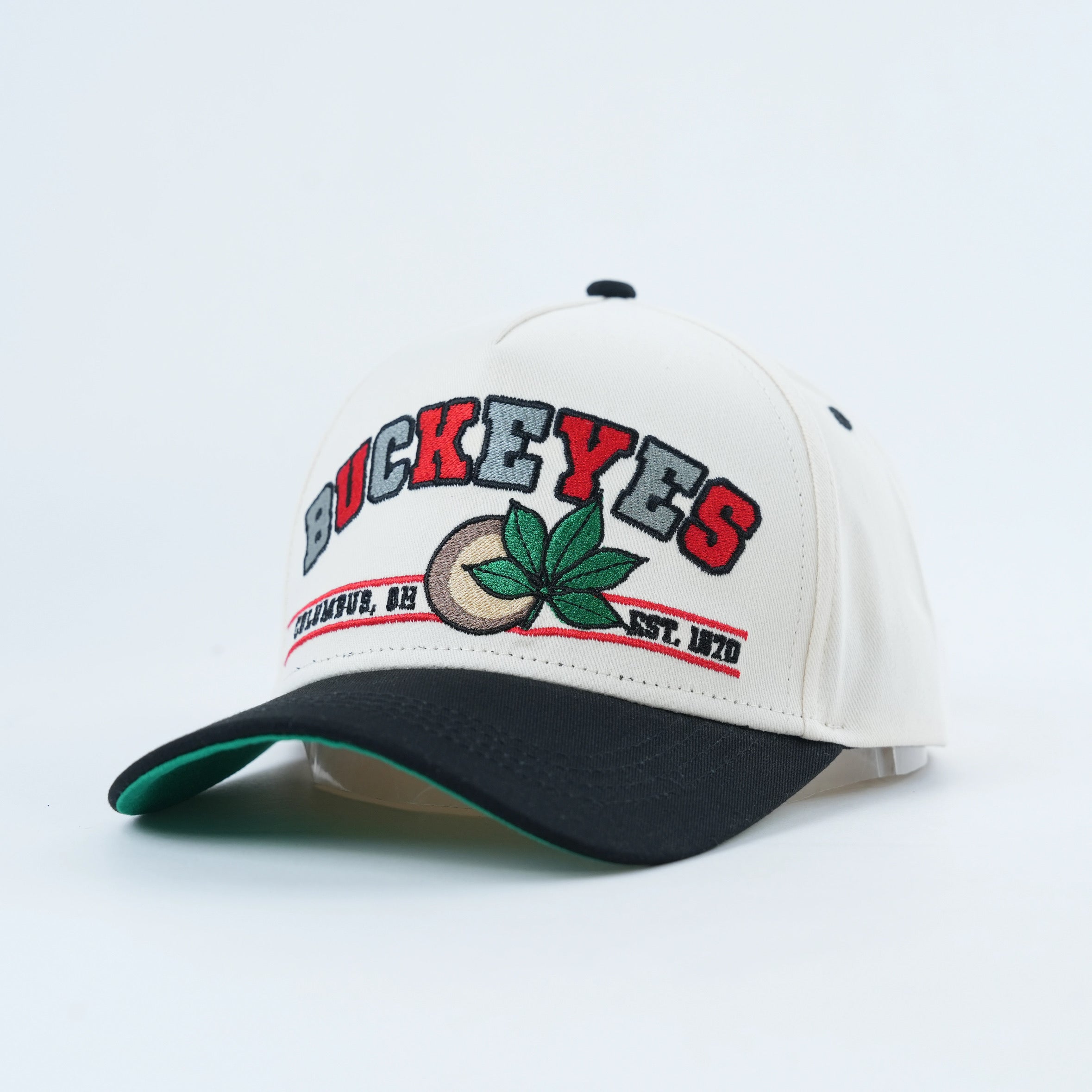 TBDHITL Buckeyes Snapback