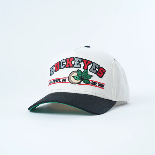 TBDHITL Buckeyes Snapback