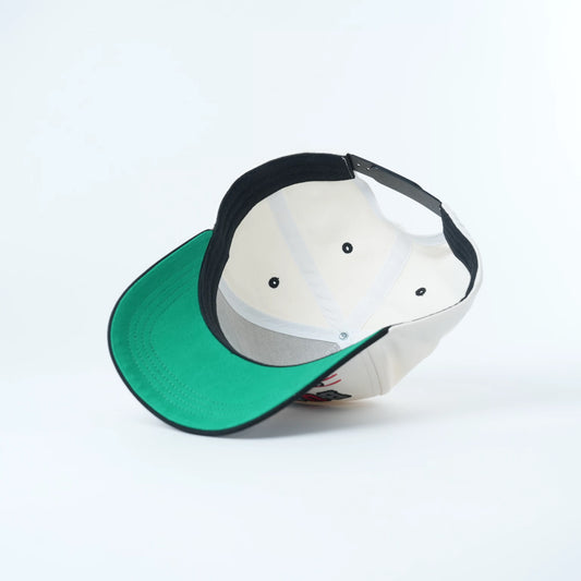 TBDHITL Buckeyes Snapback